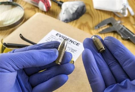 profound damage found maine gunmans possibly|Profound damage found in Maine gunman’s brain, possibly from .